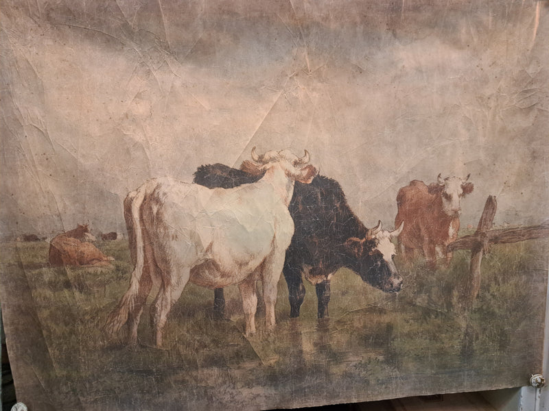Cows In Pasture Paper Portrait