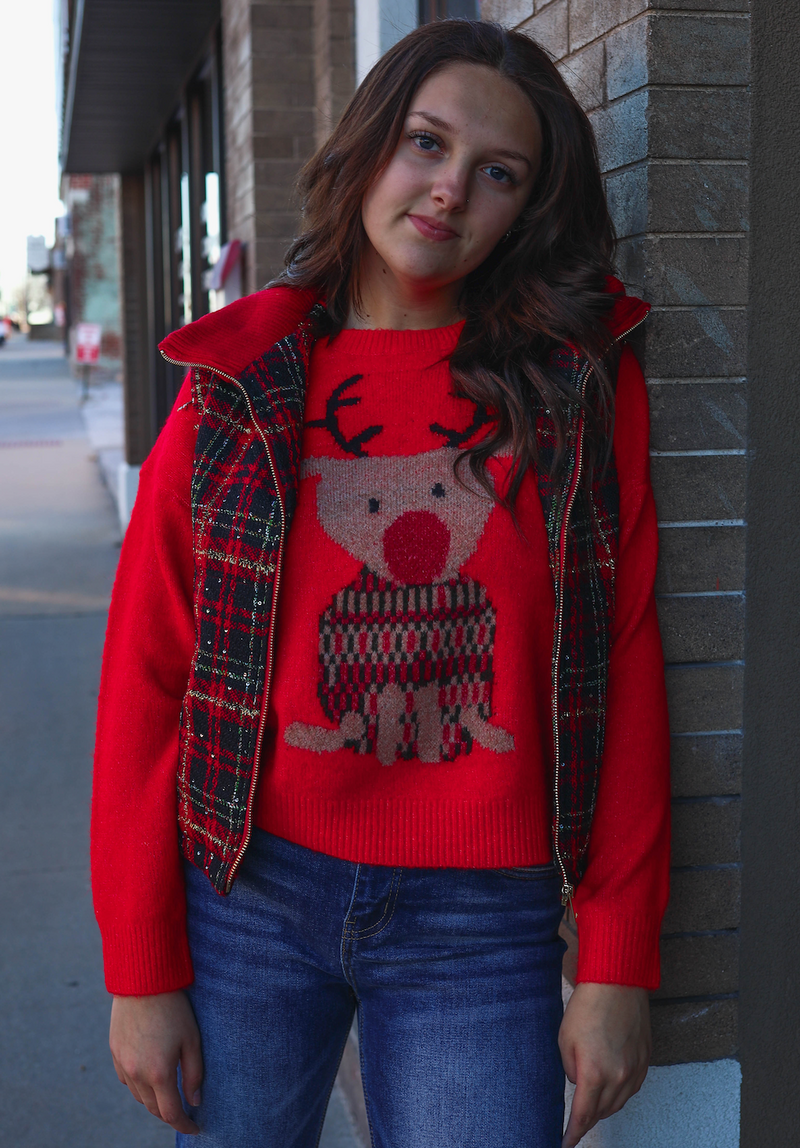 Rudolph Crewneck Knit Sweater