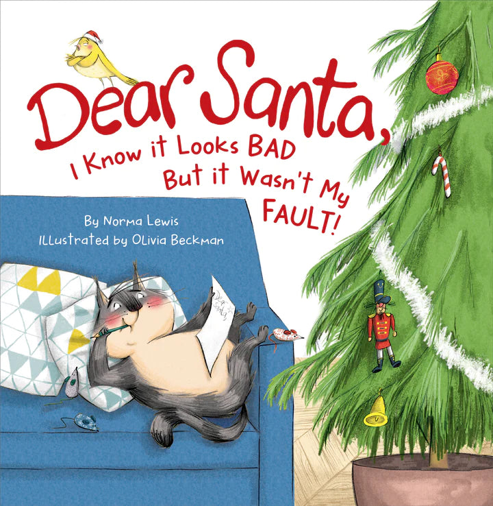 Dear Santa Its Not My Fault Book