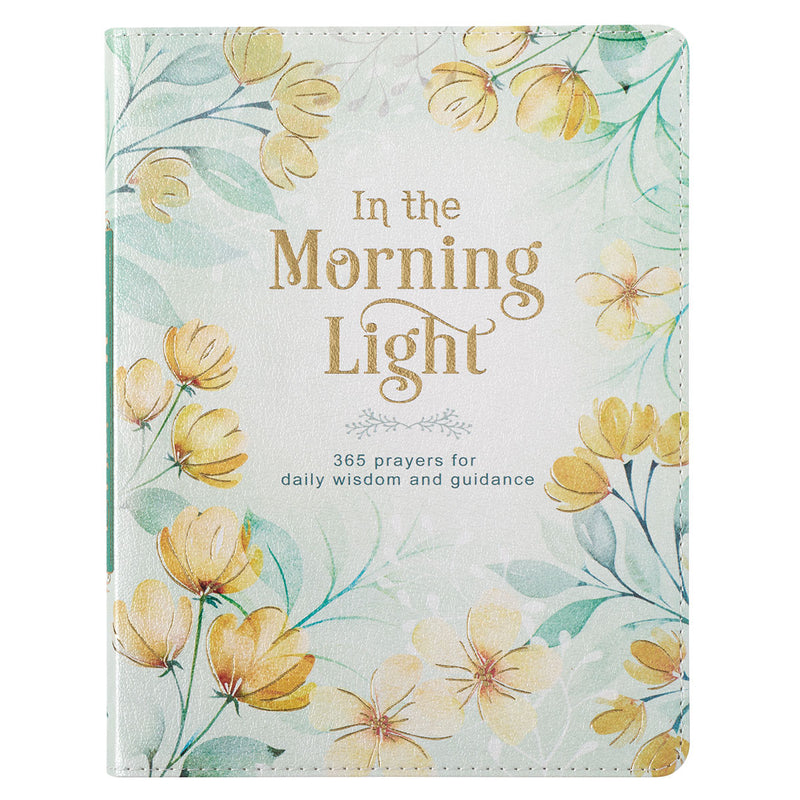 In the Morning light book
